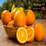 خرید پرتقال تامسون ناول + قیمت عالی با کیفیت تضمینی