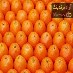 قیمت پرتقال تلخ اعلا از تولید به مصرف