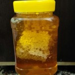 خرید و قیمت عسل کوهی اصل ارگانیک