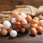 خرید انواع تخم مرغ صادراتی با بهترین قیمت