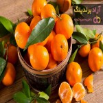 نارنگی ساتسوما | فروشندگان قیمت مناسب نارنگی ساتسوما