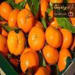 خرید و قیمت انواع نارنگی سبز ژاپنی
