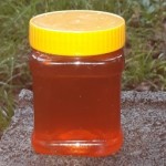 قیمت خرید عسل طبیعی کوهی کردستان درتبریز اراک همدان ری