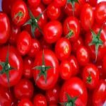 گوجه فرنگی برای نارسایی کلیه + قیمت خرید
