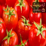 قیمت گوجه فرنگی + خرید فروش
