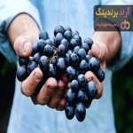 قیمت خرید انگور سیاه + فروش در تجارت و صادرات
