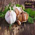 مشخصات سیر اصل همدان + قیمت خرید