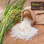 بهترین برنج ایرانی ارزان + قیمت خرید عالی