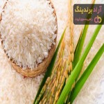 قیمت خرید برنج شمال اعلاء + مشخصات، عمده ارزان