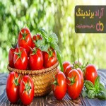گوجه فرنگی درختی | فروشندگان قیمت مناسب گوجه فرنگی درختی