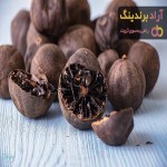 خرید لیمو عمانی سیاه خانگی + بهترین قیمت