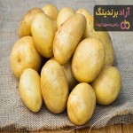 بهترین قیمت خرید سیب زمینی آگریا در قزوین، اصفهان، شیراز، مازندران