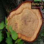 خرید چوب روسی دکوراسیون + قیمت عالی با کیفیت تضمینی