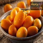 راهنمای خرید مربای پرتقال کامکوات + قیمت عالی