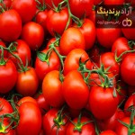 قیمت خرید گوجه فرنگی سیاه + تست کیفیت