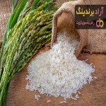 خرید برنج طارم اصل فریدونکنار + بهترین قیمت