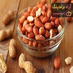 قیمت خرید بادام زمینی اصفهان + خواص، معایب و مزایا