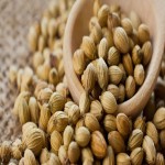 بذر گشنیز برای دیابت | قیمت خرید عمده و فله