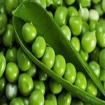 نخود فرنگی در طب سنتی(Peas in traditional medicine) + قیمت خرید عالی