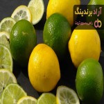 بهترین لیمو ترش جهرم + قیمت خرید عالی