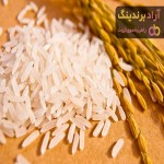 انواع برنج ایرانی و معرفی بهترین نوع آن در بازار
