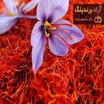 زعفران اعلا ایرانی + قیمت خرید کاربرد مصارف خواص
