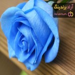 خرید انواع گل رز آبی + قیمت