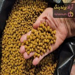 قیمت خرید ماهی قزل آلا تازه در اصفهان شیراز تهران مشهد