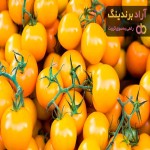 خرید و قیمت روز گوجه فرنگی سیاه