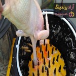 خرید انواع مرغ پرکن اردبیل + قیمت