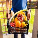 قیمت و خرید سبد میوه مخصوص یخچال + فروش ارزان