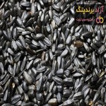 خرید و قیمت روز تخمه شمشیری خام