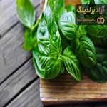 خرید و قیمت انواع گیاهان دارویی ایرانی