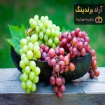 بهترین قیمت خرید انواع انگور در بهمن ۱۴۰۱ 
