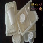 ظروف یکبارمصرف شیراز | خرید با قیمت ارزان