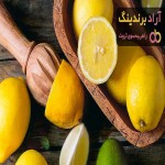 قیمت لیمو شیرین + خرید و فروش لیمو شیرین باکیفیت عمده