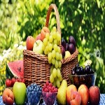 خرید و لیست قیمت میوه با بهترین کیفیت