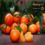 نارنگی گلخانه ای | فروشندگان قیمت مناسب نارنگی گلخانه ای