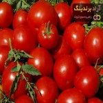گوجه فرنگی برای نارسایی کلیه | قیمت مناسب خرید عالی