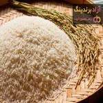 معرفی برنج هاشمی گلستان + بهترین قیمت خرید