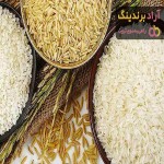 برنج پاکستانی چیست + قیمت خرید