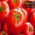 خرید با کیفیت ترین انواع گوجه فرنگی با قیمت ارزان