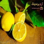 لیمو ترش | فروشندگان قیمت مناسب لیمو ترش