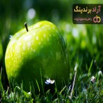 خرید و قیمت سیب سبز برای لاغری