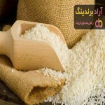 برنج شیرودی | فروشندگان قیمت مناسب برنج شیرودی