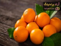 قیمت پرتقال شمال + خرید و لیست قیمت روز پرتقال شمال دی ۱۴۰۱