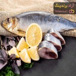 قیمت خرید ماهی قباد + مزایا و معایب