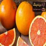 پرتقال مازندران | فروشندگان قیمت مناسب پرتقال مازندران