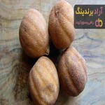 قیمت لیمو عمانی + خرید و فروش لیمو عمانی عمده