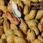 قیمت بادام زمینی پوست دار + مشخصات بسته بندی عمده و ارزان